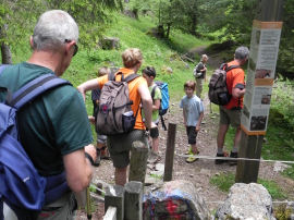 In cammino verso Malga Canali (42062 bytes)